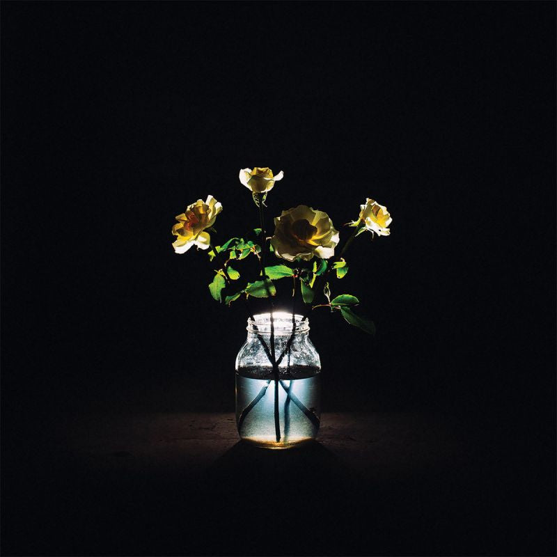 Billy Strings - Renewal (LP)