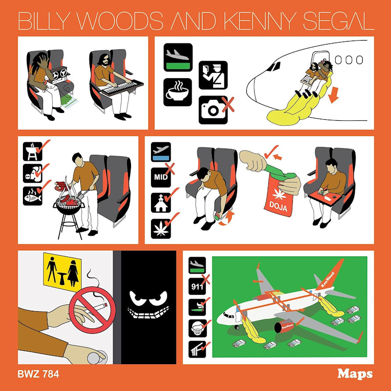 Billy Woods - Maps (LP)