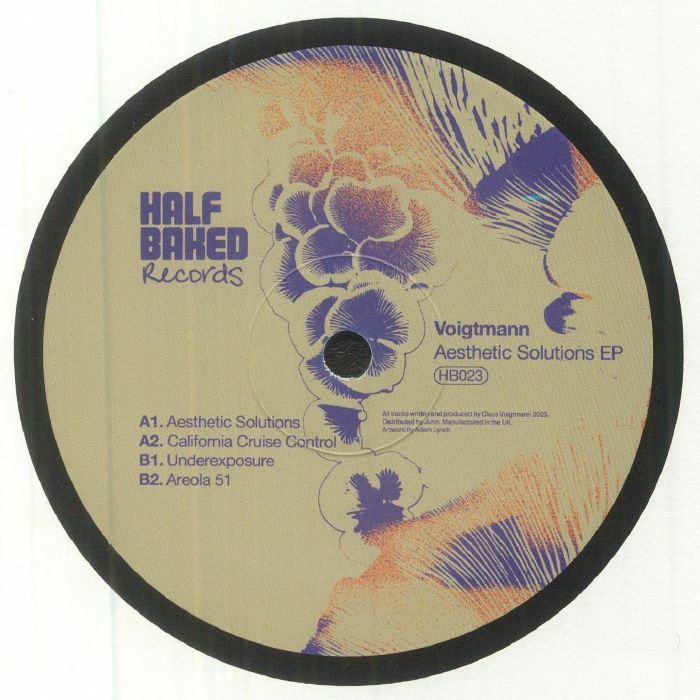 Voigtmann - Aesthetic Solutions EP