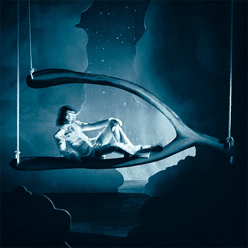 Conan Gray - Wishbone Deluxe (Spilled Wine Vinyl LP)
