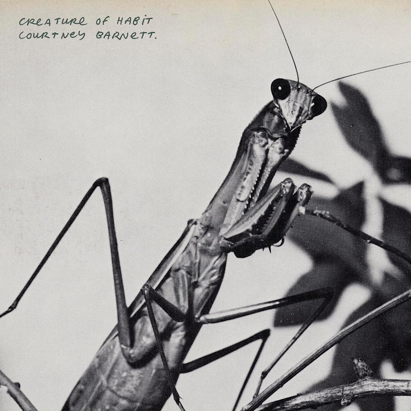Courtney Barnett - Creature Of Habit (Caramel Vinyl LP)
