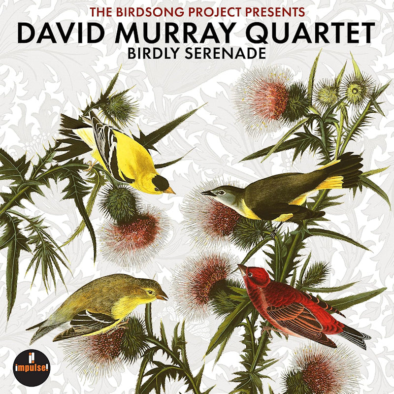 David Murray Quartet - Birdly Serenade (LP)