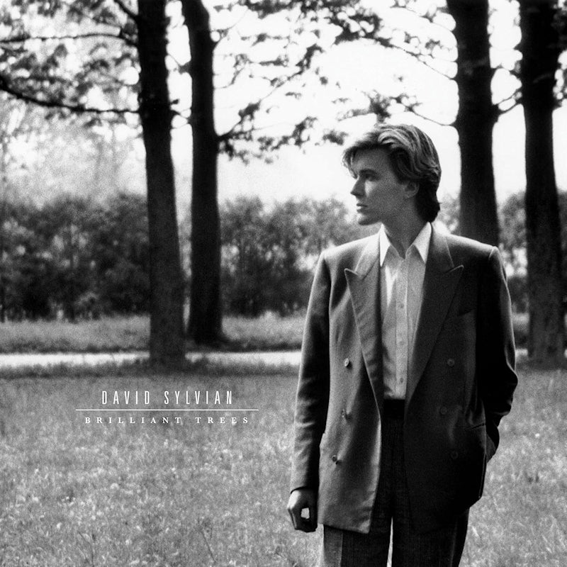 David Sylvian - Brilliant Trees (Coloured Vinyl LP)