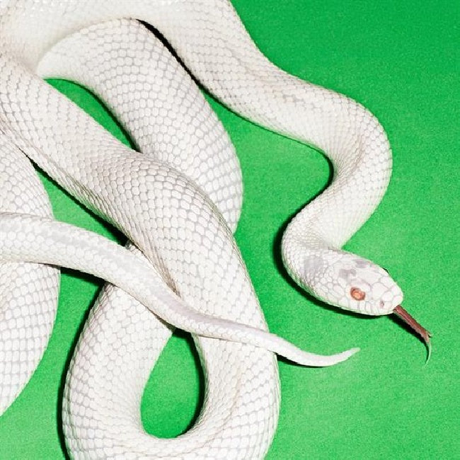 Deftones - Private Music (LP)