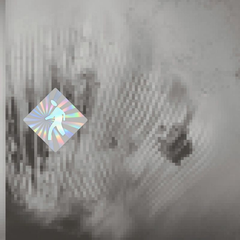 Discovery Zone - Quantum Web (LP)