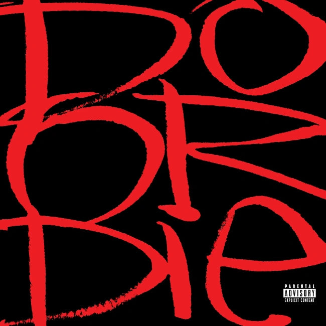 Do Or Die - Picture This (LP)