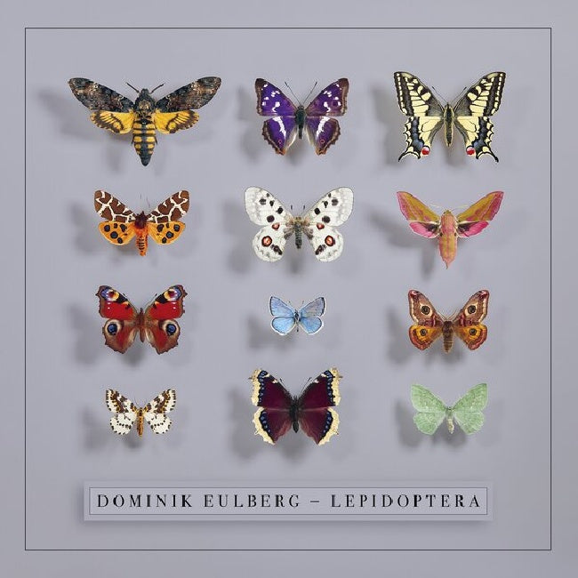 Dominik Eulberg - Lepidoptera (LP)