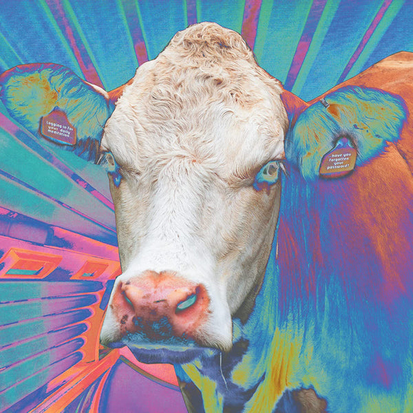 Eyes Of Others - Eyes Of Others (LP)