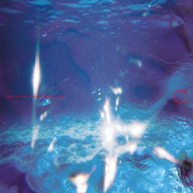 Fabiano Do Nascimento & E Ruscha V - Aquaticos (LP)