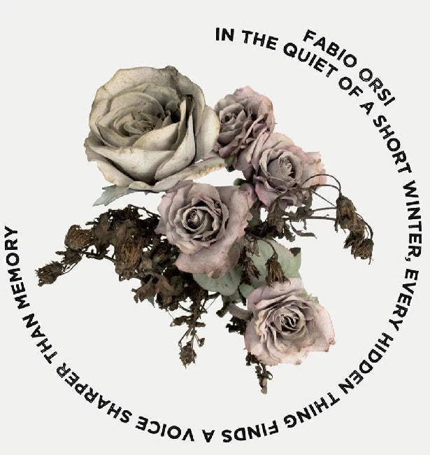 Fabio Orsi - In A Quiet Of A Short Winter, Every Hidden Thing Finds A Voice Sharper Than Memory (LP)