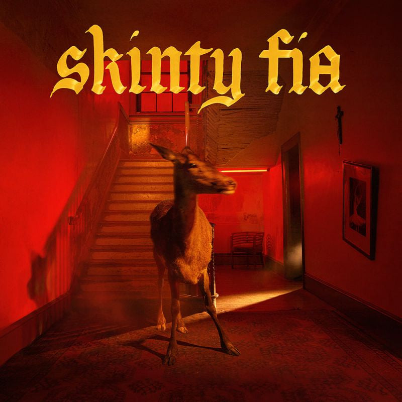 Fontaines D.c. - Skinty fia (Japan Import edition LP)