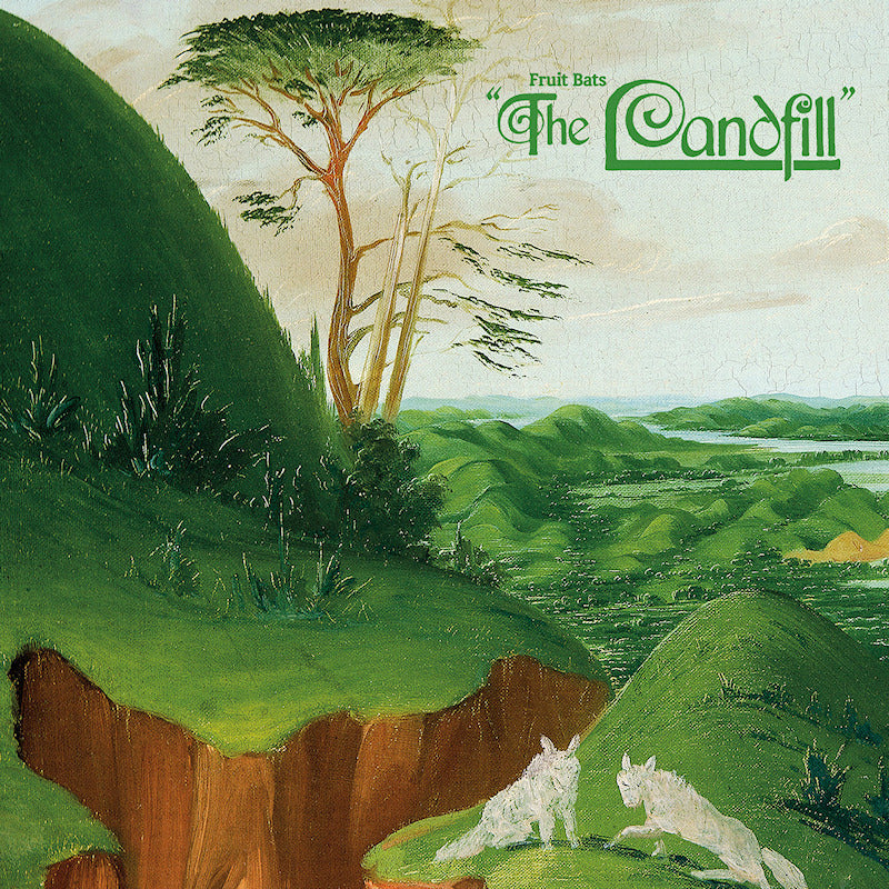 Fruit Bats - The Landfill (Pink splatter in clear LP)