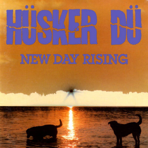 Hüsker Dü - New Day Rising (LP)