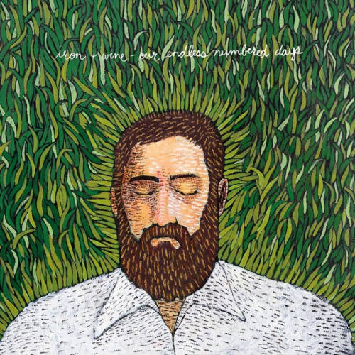 Iron & Wine - Our endless numbered days (CD)