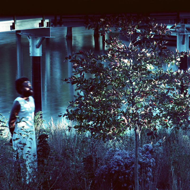 Jjjjjerome Ellis - Vesper Sparrow (LP)