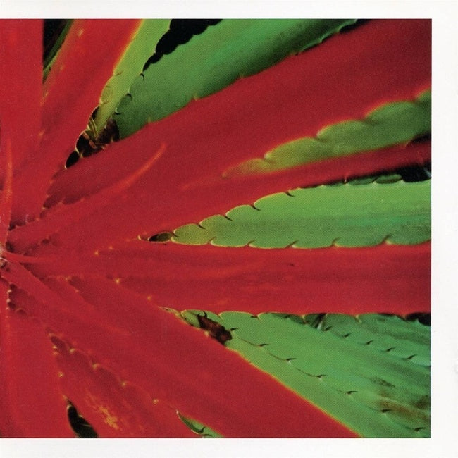 Jejune - This Afternoon Malady (LP)