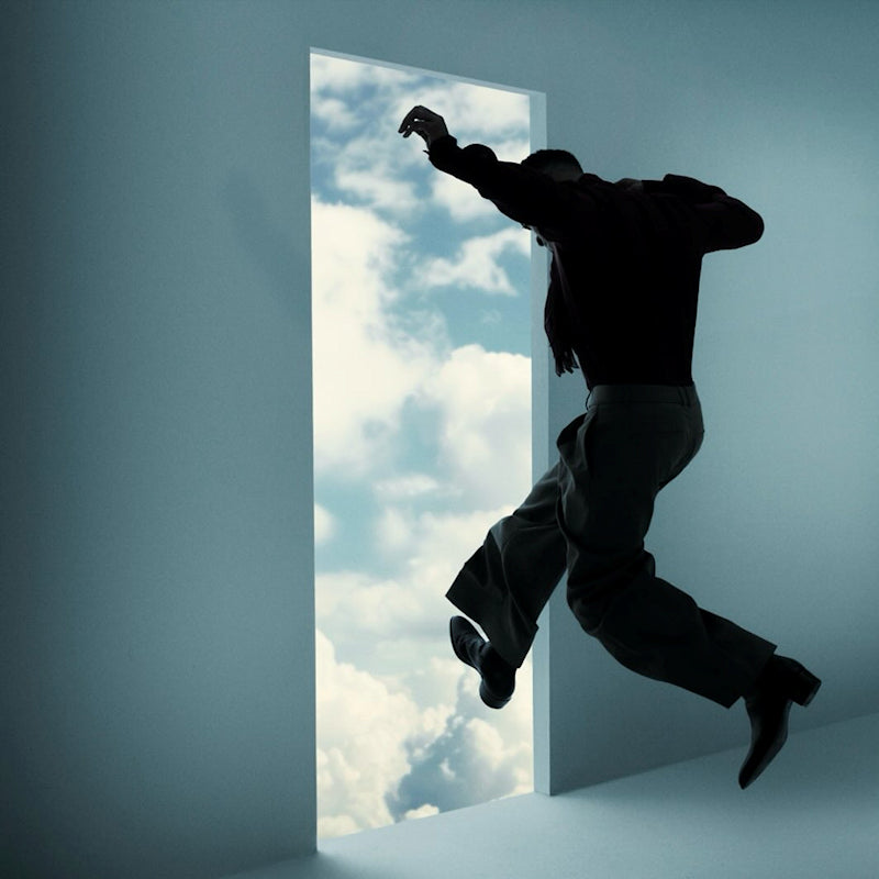 Kid Cudi - Free (LP)