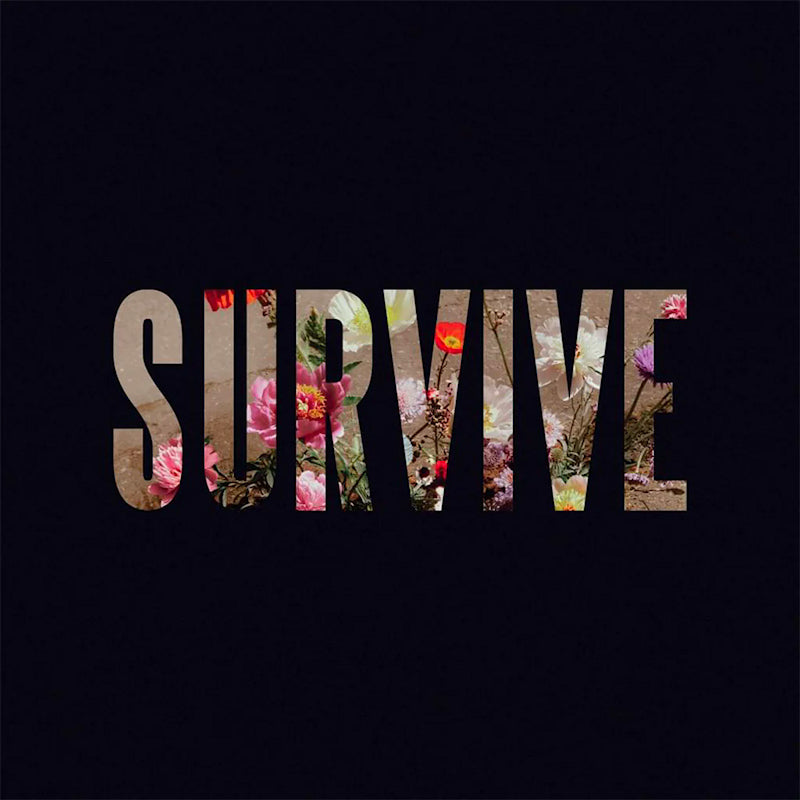Lewis Capaldi - Survive EP (12")
