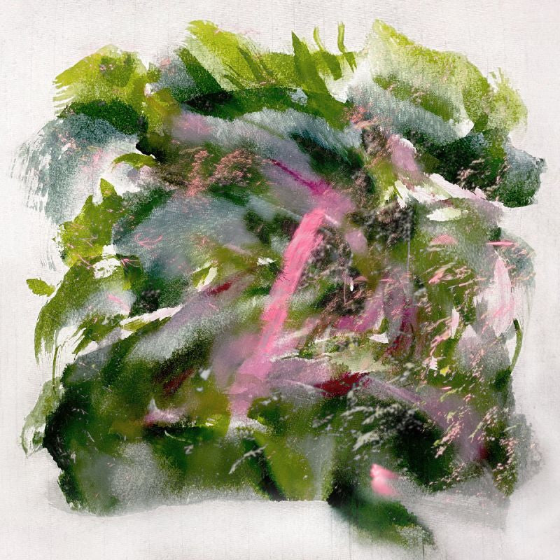 Mizu - Forest Scenes (Pink Red LP)