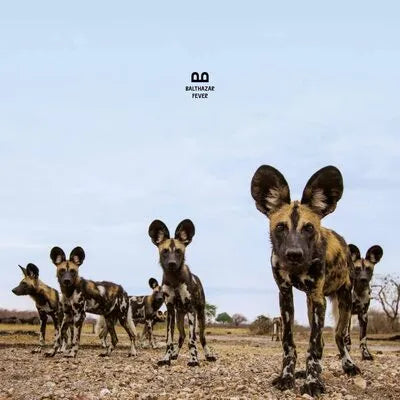 Balthazar - Fever (Blue LP)