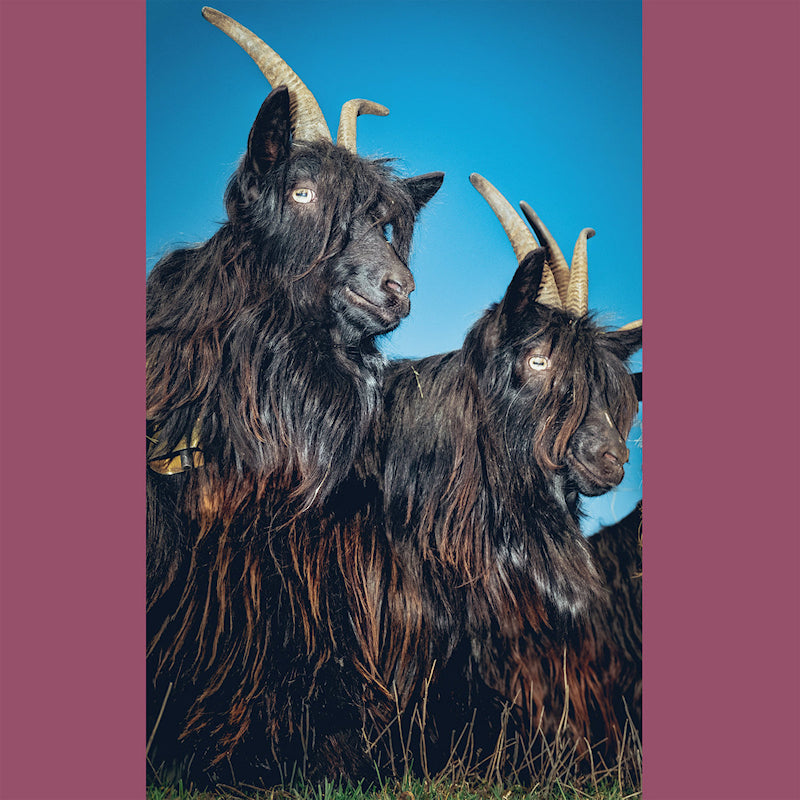 Martina Berther & Philipp Schlotter - Silence Will Never Die (White Vinyl LP)