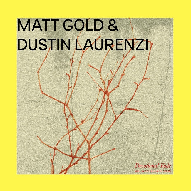 Matt Gold & Dustin Laurenzi - Devotional Fade (LP)