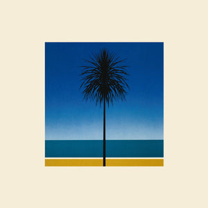 Metronomy - The English Riviera (LP)