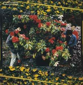 USED - Sneaky Feelings - Sentimental Education