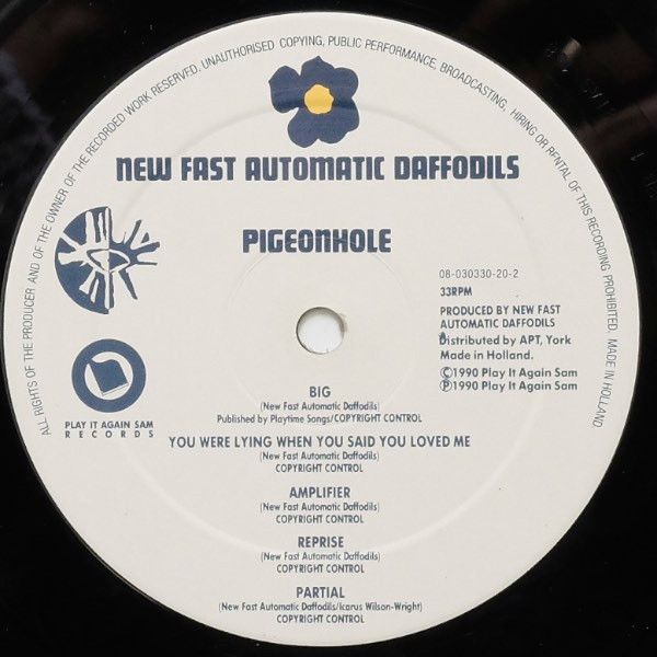 USED - New Fast Automatic Daffodils - Pigeonhole