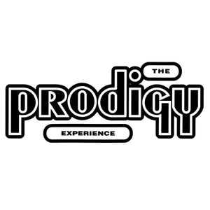 The Prodigy - Experience (LP)