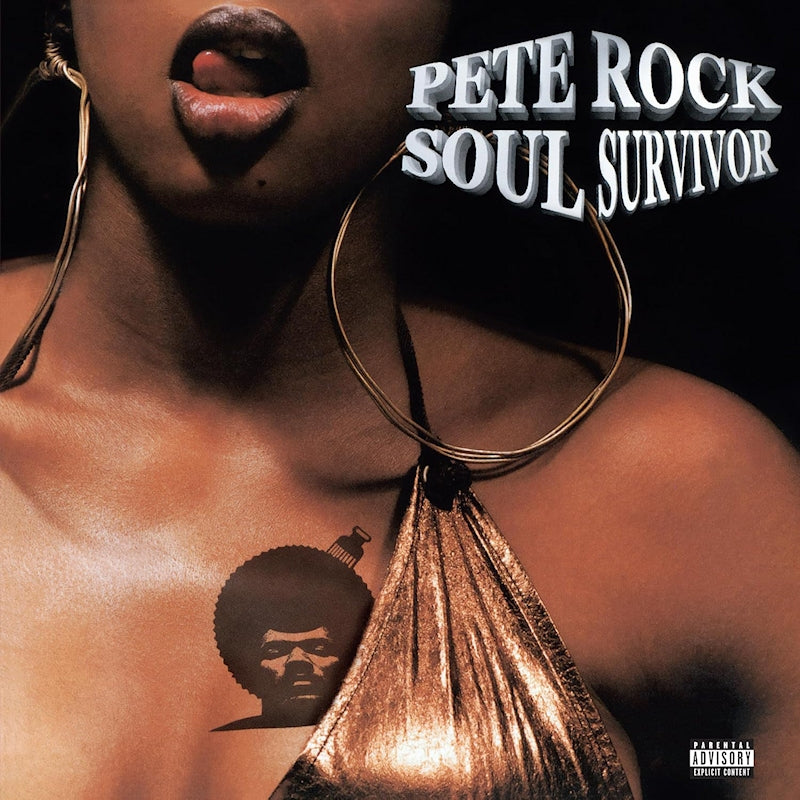 Pete Rock - Soul Survivor (LP)