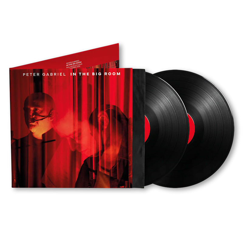 Peter Gabriel - In The Big Room (LP)