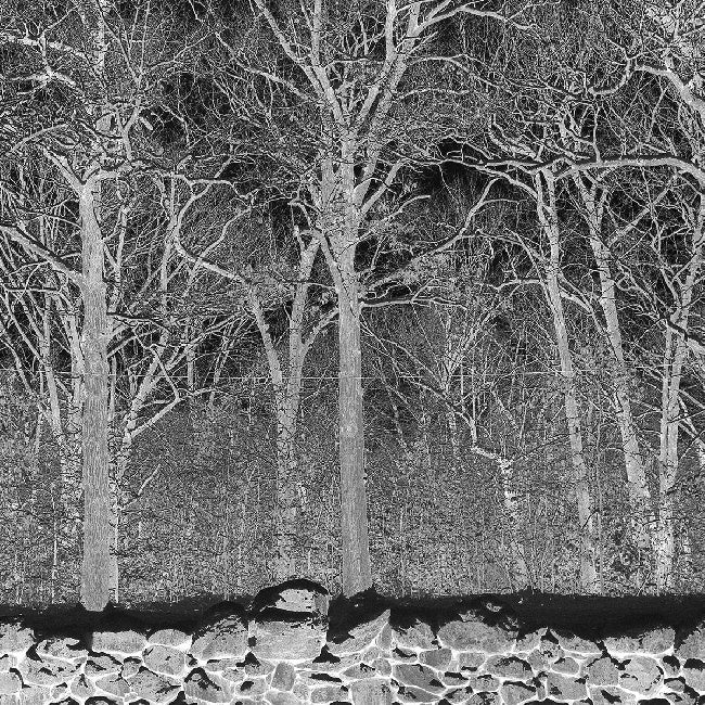 Pile - Sunshine and Balance Beams (Boris Purple LP)