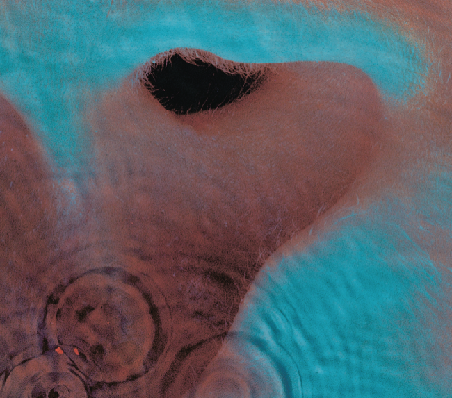 Pink Floyd - Meddle (LP)