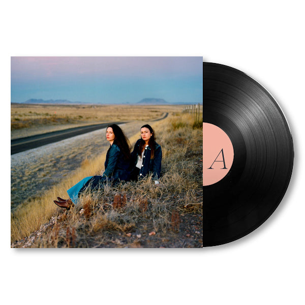 Plains - I Walked With You A Ways (LP)