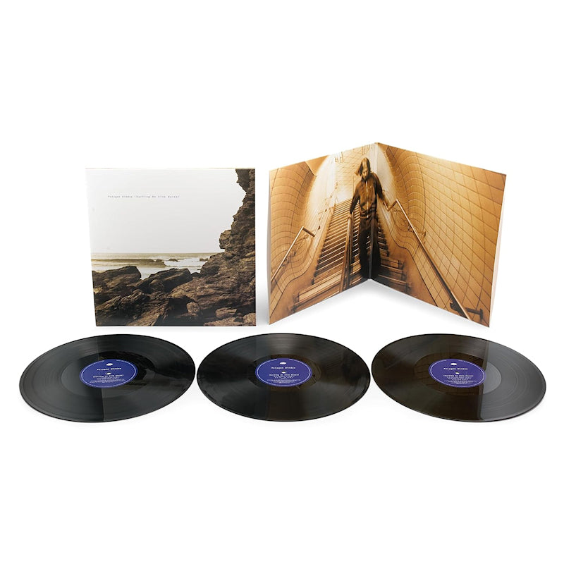 Polygon Window - Surfing On Sine Waves (Expanded Edition) (LP)