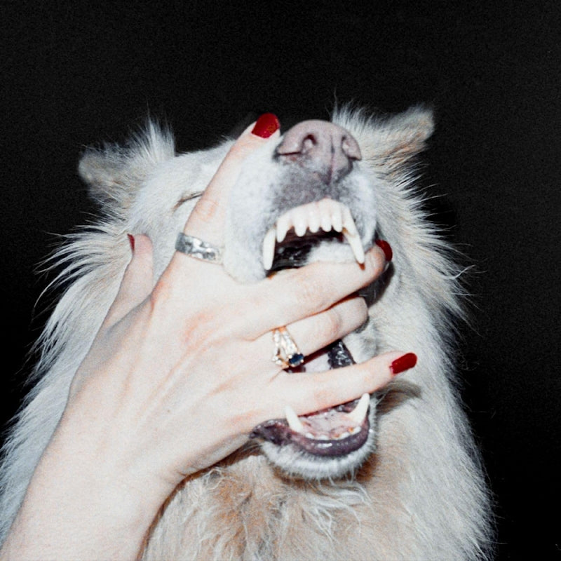Porch Light - Hush (LP)