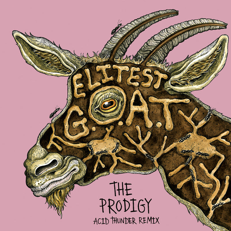Sleaford Mods Vs The Prodigy Ft. Aldous Harding - Elitest g.o.a.t. (Gold Vinyl 7")