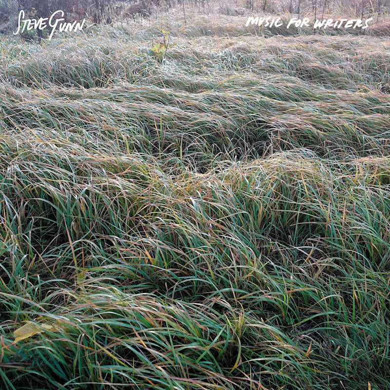 Steve Gunn - Music for Writers (LP)