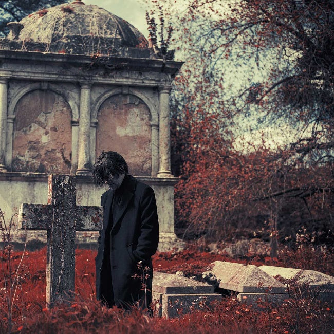 Steven Wilson - Requiem for a Village (LP)