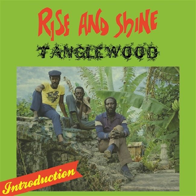 Tanglewood - Rise and shine (LP)