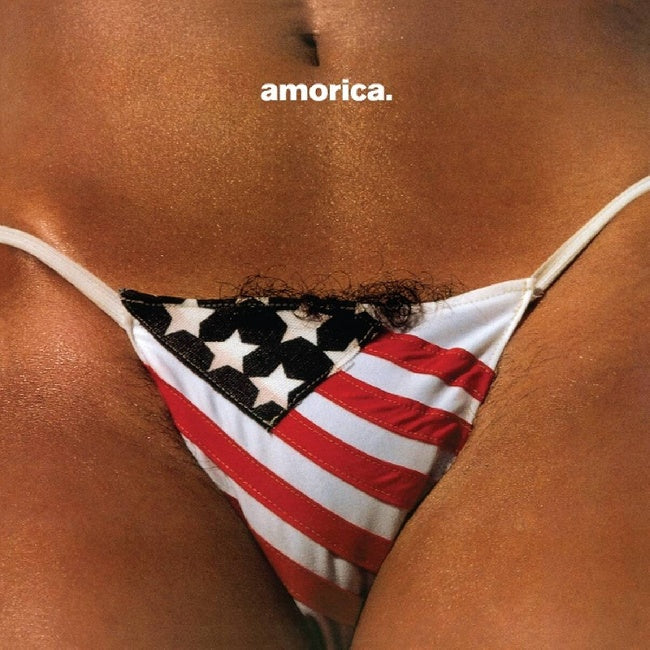 The Black Crowes - Amorica (LP)