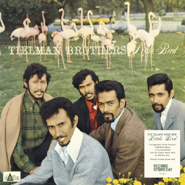 Tielman Brothers - Little Bird (Moss Green Vinyl LP)