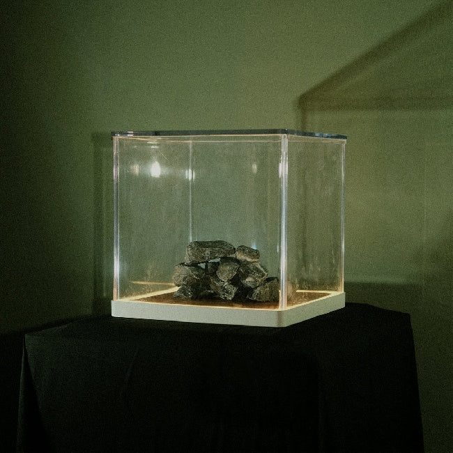 Tra Phaidin - Cloch 's Clai (LP)