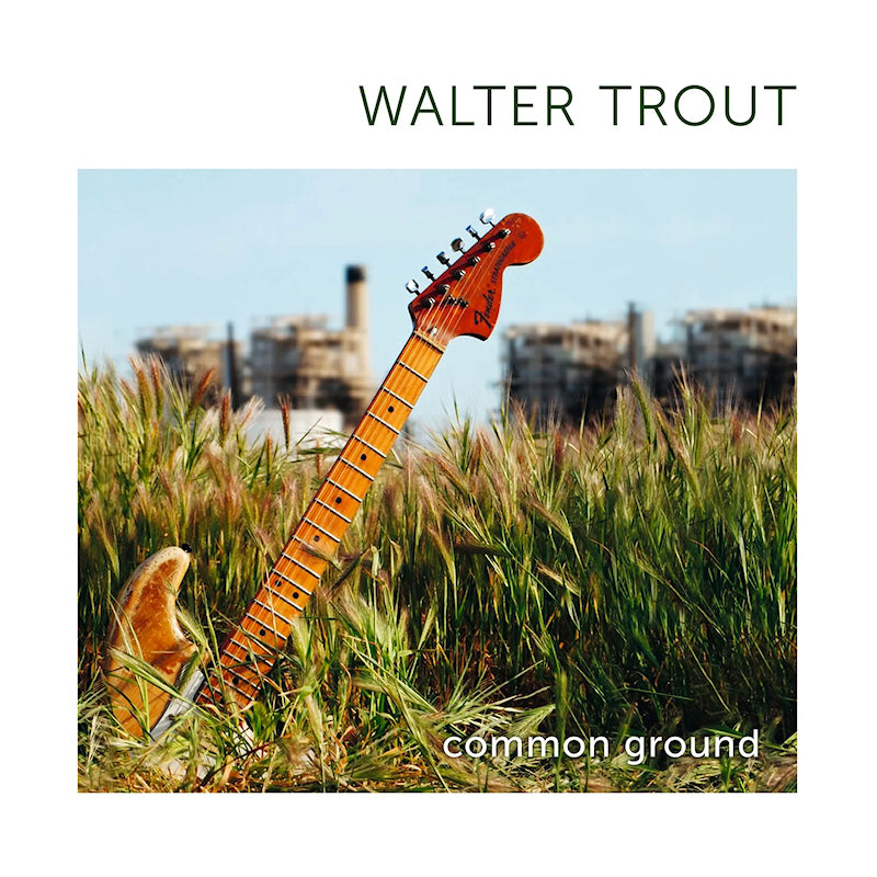 Walter Trout - Common ground (Green Vinyl LP)