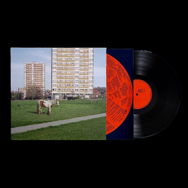 Westside Cowboy - It Goes On (LP)