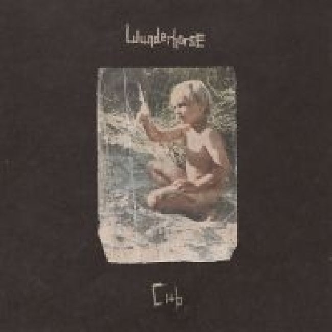 Wunderhorse - Cub (Crystal Clear Vinyl LP)