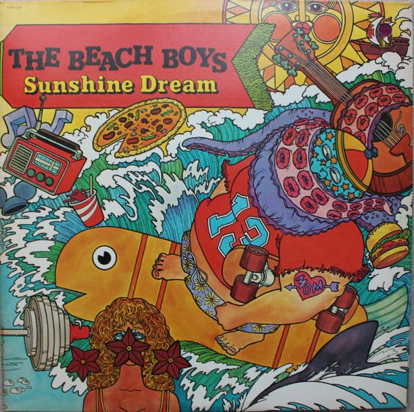 USED - The Beach Boys - Sunshine Dream