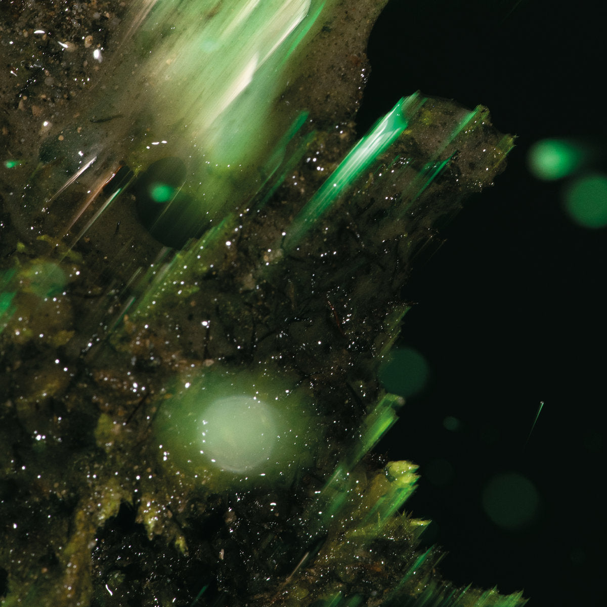 Abraham - IDSUNGWUSSA (LP)