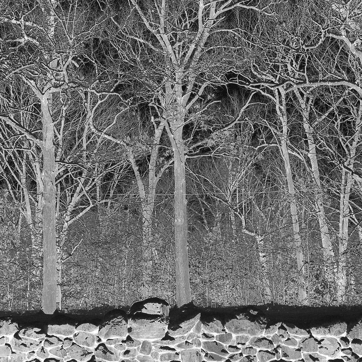 Pile - Sunshine and Balance Beams (Boris Purple LP)